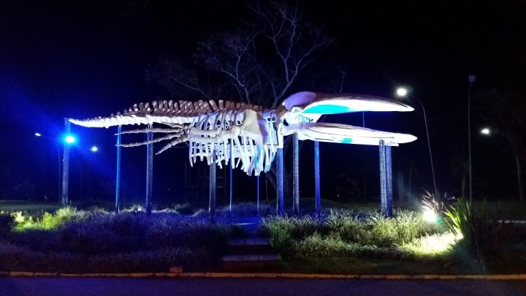 Praça da Baleia - Um dos fatos curiosos de Ubatuba