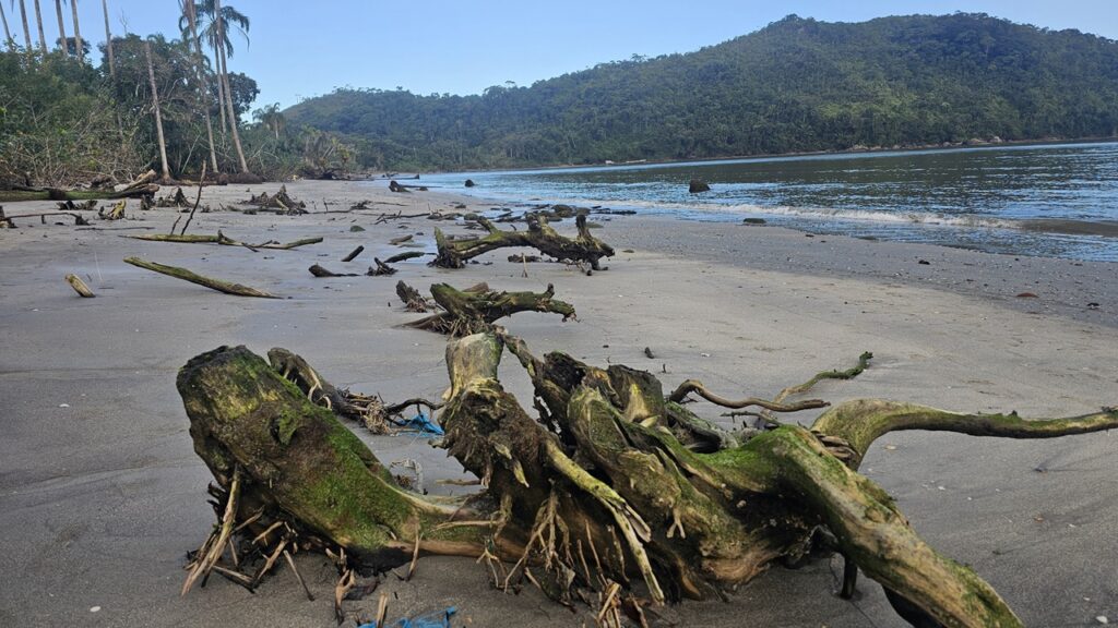 Praia da Barra Seca