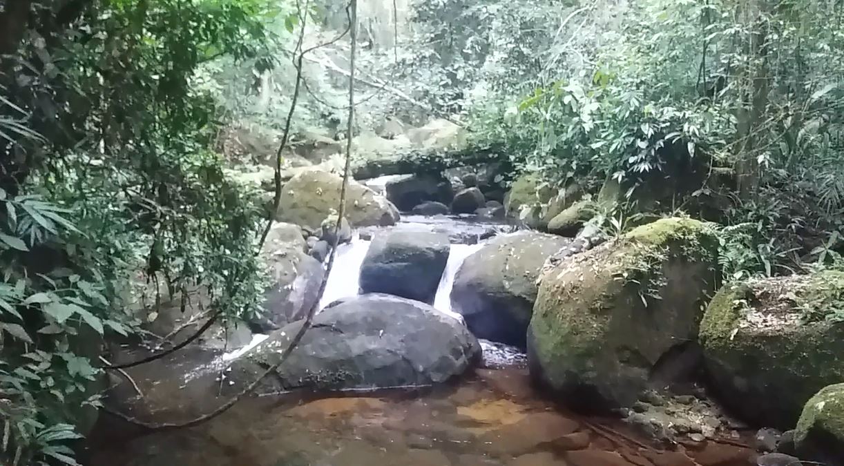 As corredeiras no caminho para a Cachoeira Véu da Noiva - Região sul de Ubatuba