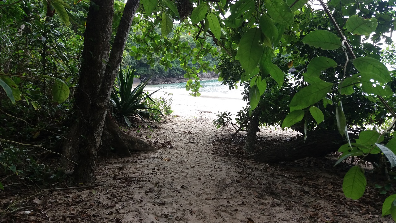 Chegada a Praia Mansa pela trilha