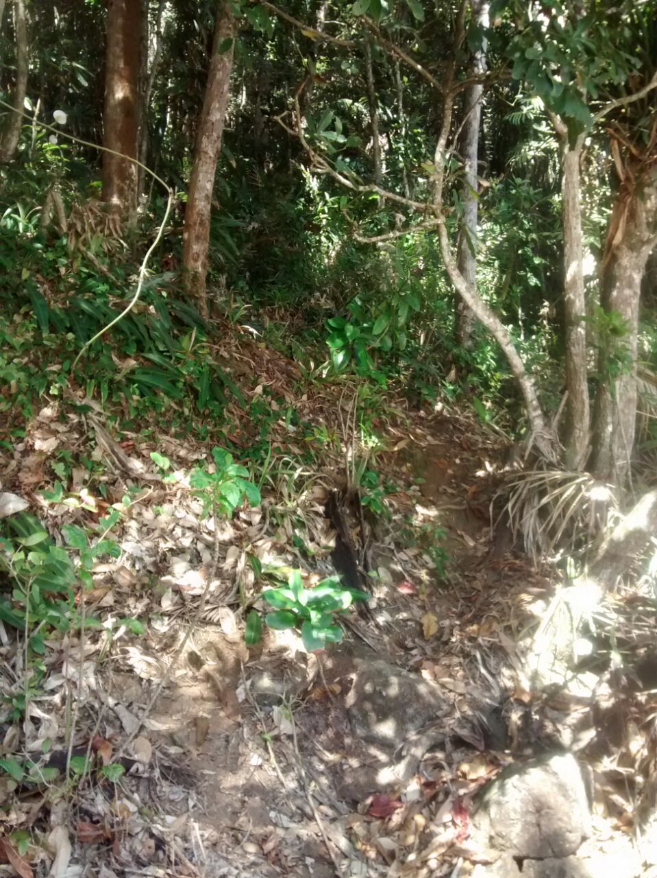 Entrada da Gruta do Pirata