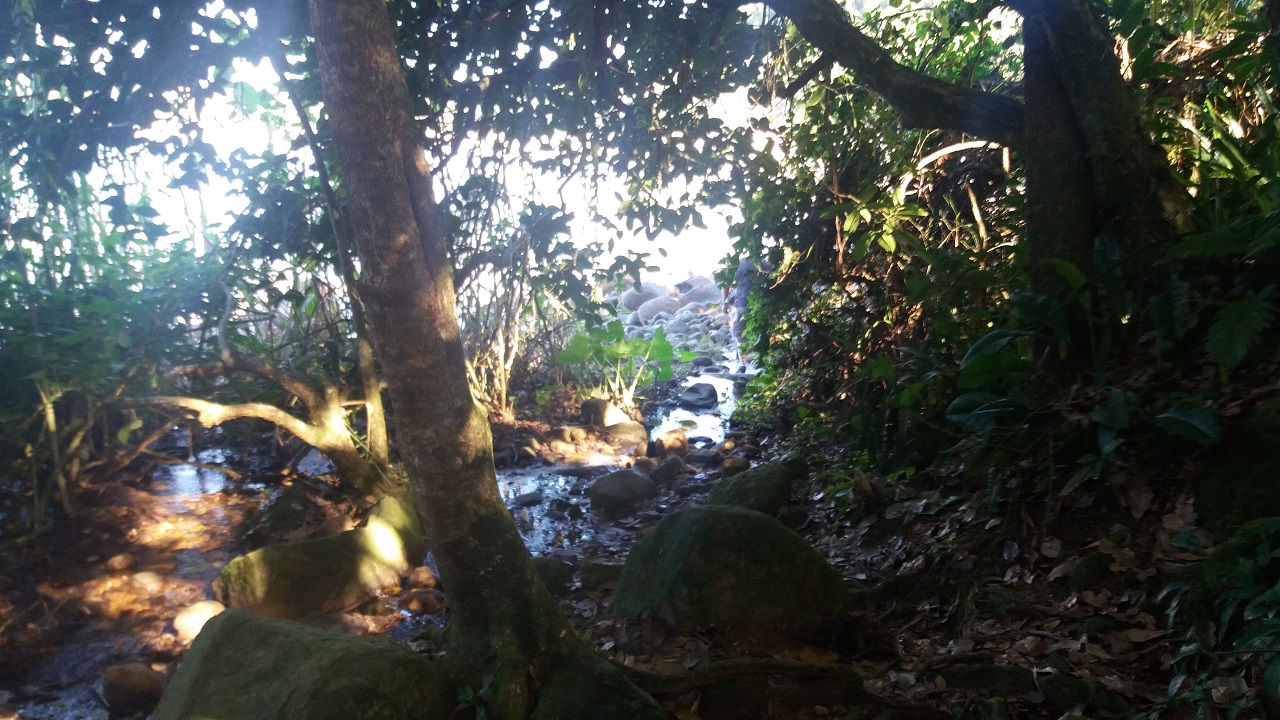 Cachoeira da Vermelha do Norte