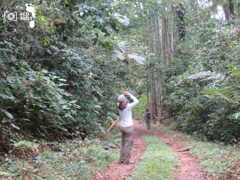 Ecotuba - Atividades que valorizam a vida na natureza e proporcionem momentos únicos