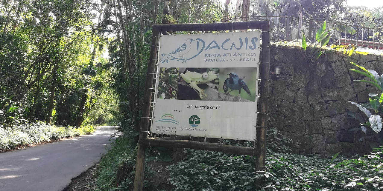 Projeto Dacnis – Preservação, Pesquisa e Educação