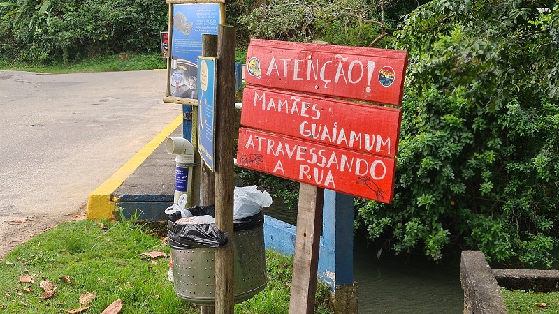 Tamoio de Ubatuba