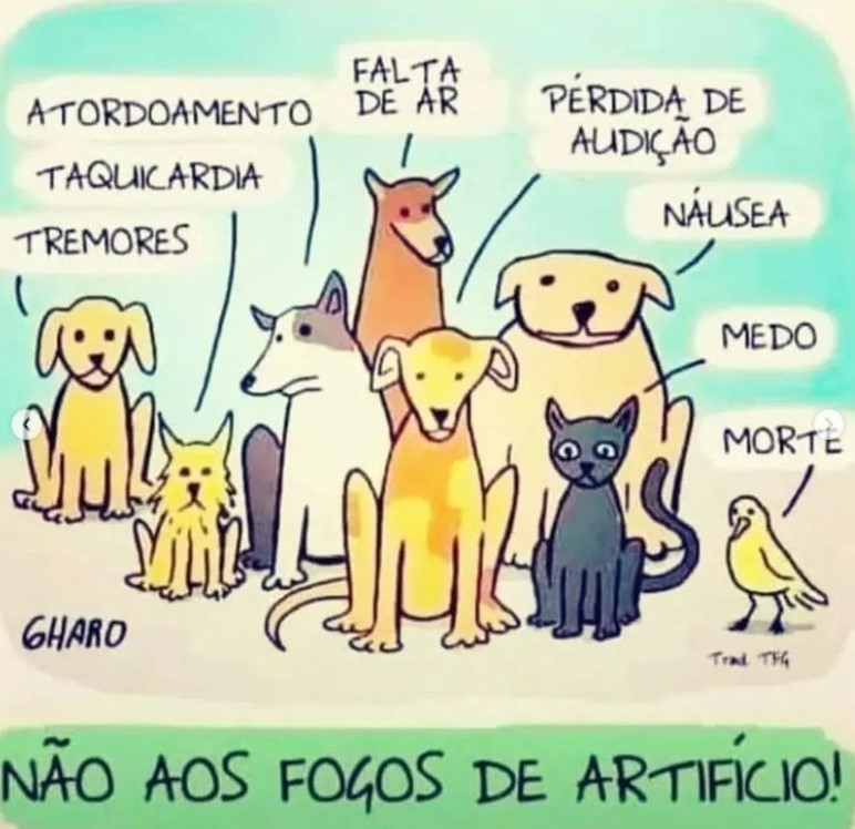 Os fogos de artifício sonoros prejudicam os animais